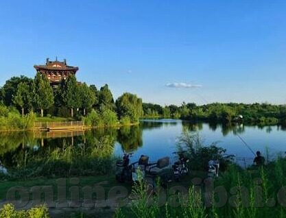 麻豆tv传媒-麻豆传媒,探索内容创新的独特性与社会影响