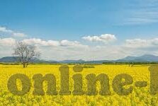 糖心app无敌版-揭秘糖心APP，伪装与诱惑的深度分析